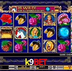 Descubra a Essência do k9bet: Nossa História e Compromissos